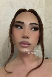 Транс Астаны Транс№477098 Fantom последние дни Фотография №4050683